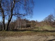 25 Dalla cima della Corna Bianca mi abbasso per sentierino alla stradetta per la Stalla del Fop (1124 m)